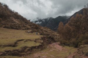 Photo Turism în Natură