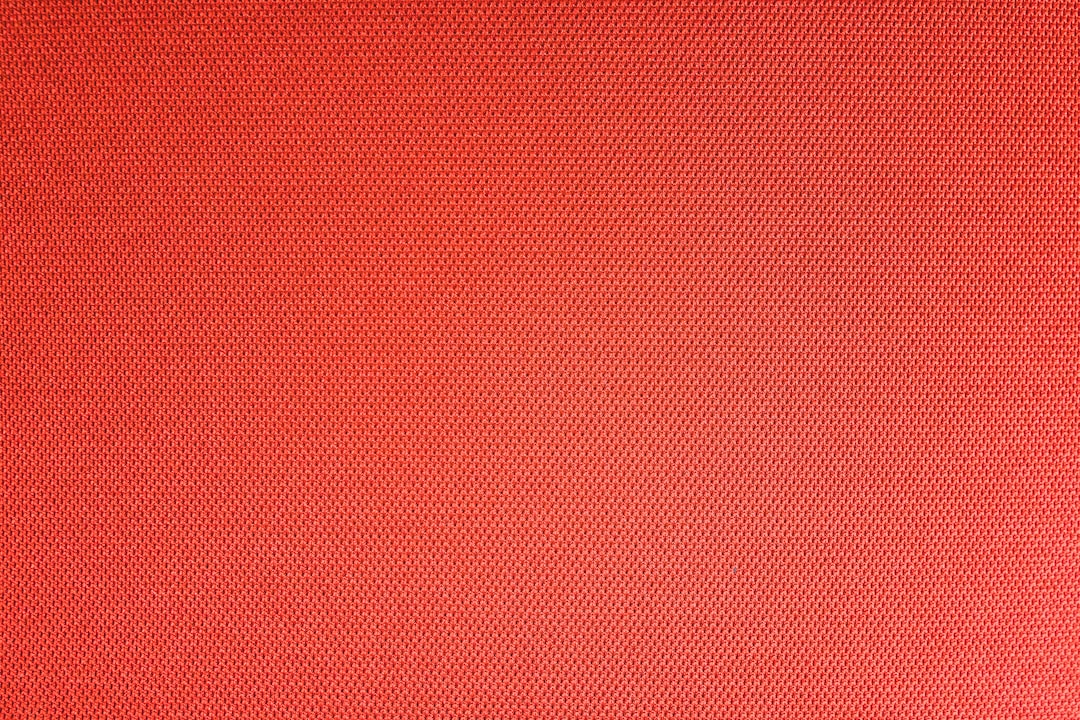 Photo placinta cu branza