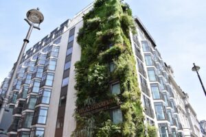 Photo eco-friendly hotel experiences
