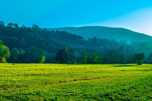 Photo natural landscape