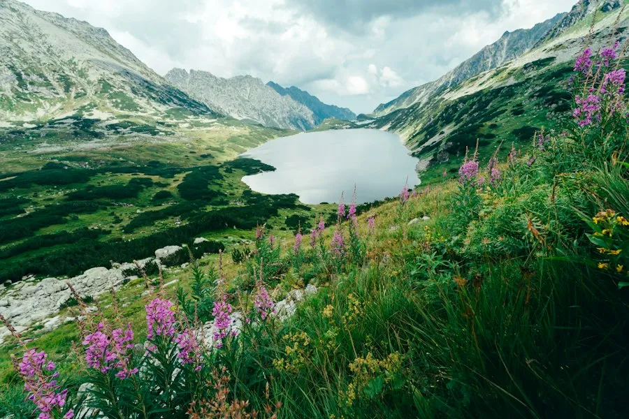 mountain lakes guide