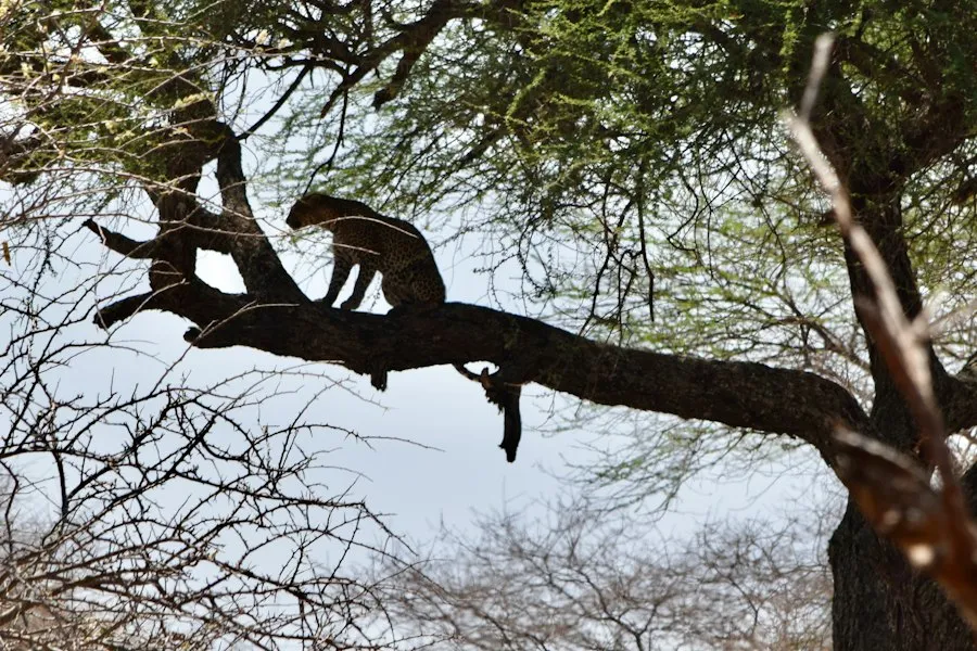 natural reserves information