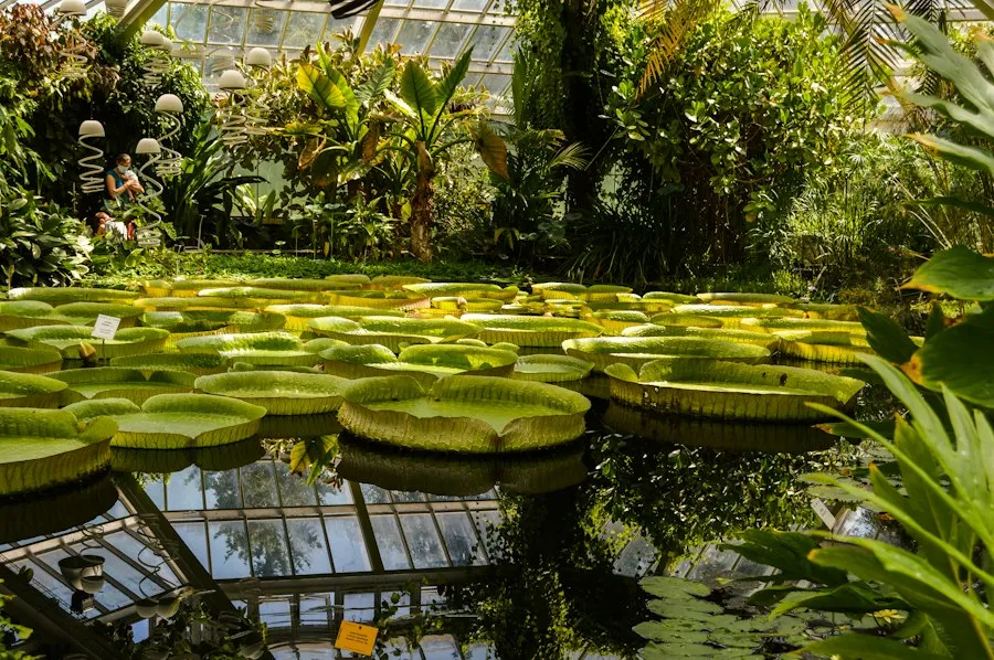 Photo botanical gardens guide