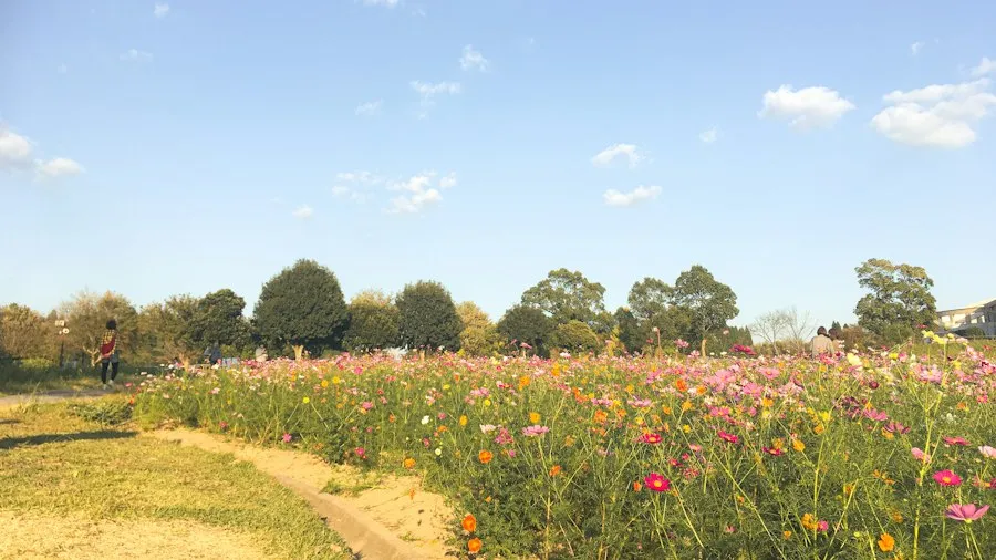 botanical gardens guide