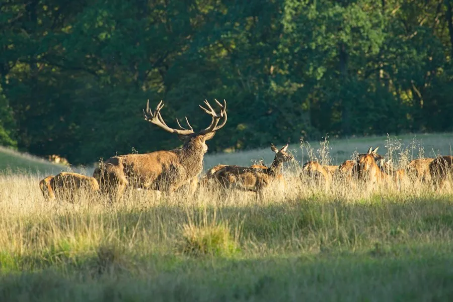Photo common mistakes natural reserves